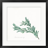 Rosemary II Fine Art Print