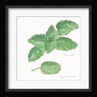 Mint Framed Print
