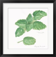 Mint Framed Print