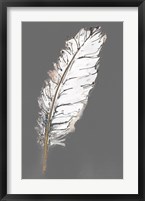 Gold Feathers VII on Grey Fine Art Print