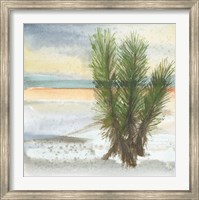 Desert Yucca Cool Fine Art Print