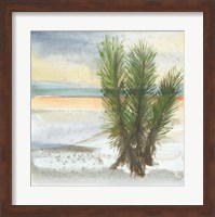 Desert Yucca Cool Fine Art Print