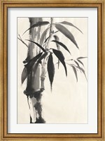 Sumi Bamboo Cream Fine Art Print