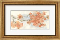 Peach Blossom III Fine Art Print
