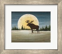 North Woods Moose Crop Fine Art Print