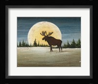 North Woods Moose Crop Fine Art Print