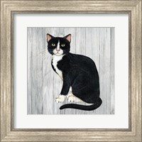 Country Kitty I on Wood Fine Art Print
