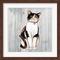 Country Kitty III on Wood Fine Art Print