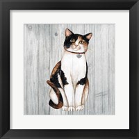 Country Kitty III on Wood Framed Print