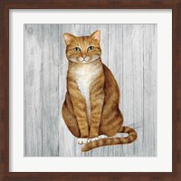Country Kitty II on Wood Fine Art Print