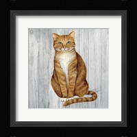 Country Kitty II on Wood Fine Art Print