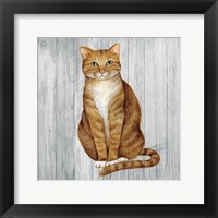 Country Kitty II on Wood Framed Print