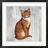Country Kitty IV on Wood Fine Art Print