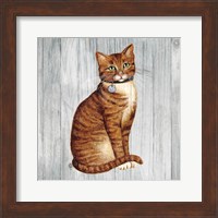 Country Kitty IV on Wood Fine Art Print