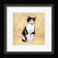 Country Kitty III Framed Print