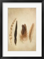 Feathers I Fine Art Print
