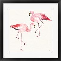 Tropical Fun Bird V Framed Print