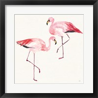 Tropical Fun Bird V Framed Print