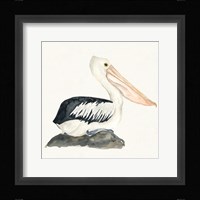 Tropical Fun Bird II Fine Art Print