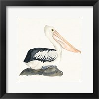 Tropical Fun Bird II Framed Print