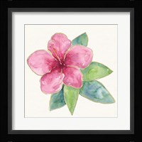 Tropical Fun Flowers III Fine Art Print