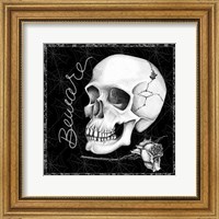 Arsenic and Old Lace Skull Beware Fine Art Print