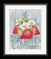 American Berries I Framed Print