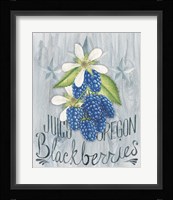 American Berries IV Framed Print