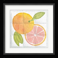 Citrus Tile VIII Framed Print