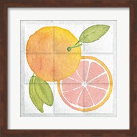 Citrus Tile VIII Fine Art Print