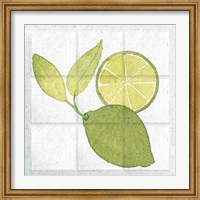 Citrus Tile VII Fine Art Print