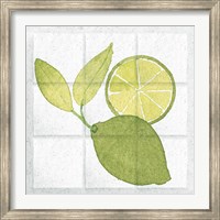 Citrus Tile VII Fine Art Print