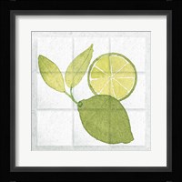 Citrus Tile VII Framed Print