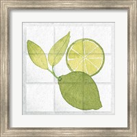 Citrus Tile VII Fine Art Print