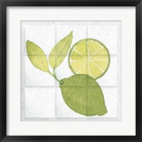 Citrus Tile VII Framed Print
