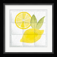Citrus Tile VI Framed Print