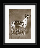 Cover Up Fine Art Print