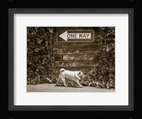 Which Way Fine Art Print