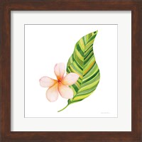 Treasures of the Tropics X Fine Art Print