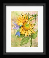 Summer Fun Bird Fine Art Print