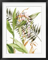 Botanical Shell Ginger Fine Art Print