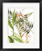 Botanical Shell Ginger Fine Art Print