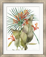 Botanical Flame Lilies Fine Art Print