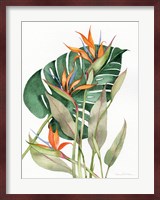 Botanical Birds of Paradise Fine Art Print