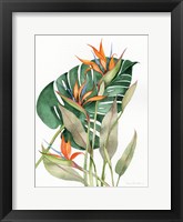 Botanical Birds of Paradise Fine Art Print