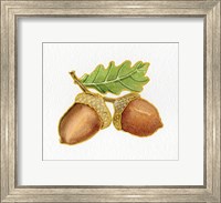 Autumn Days Acorns Fine Art Print