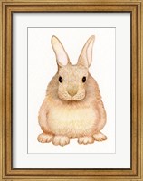 Spring Bunny I White Fine Art Print
