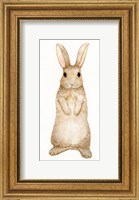 Spring Bunny II White Fine Art Print