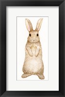 Spring Bunny II White Fine Art Print