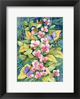 Orchids and Hummingbirds Fine Art Print